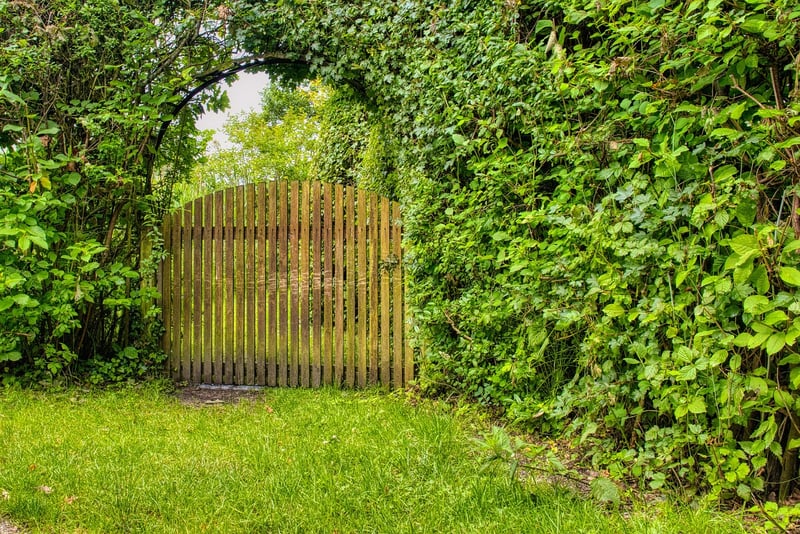 Secret Garden Oasis