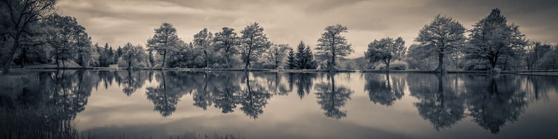 Lakeside Serenity